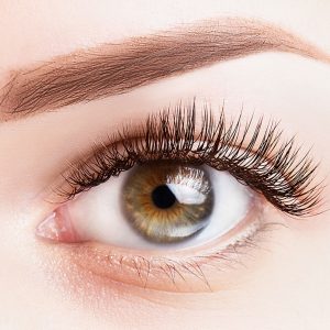 Classic Lashes - Couture Academy